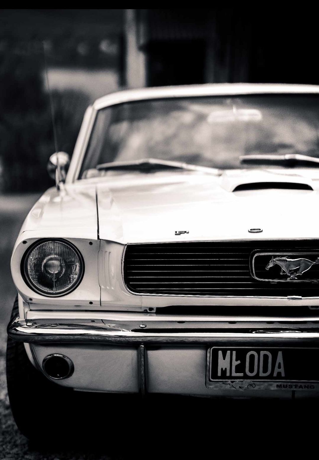 Ford Mustang 1966 V8 do ślubu możliwość samodzielnego prowadzenia !