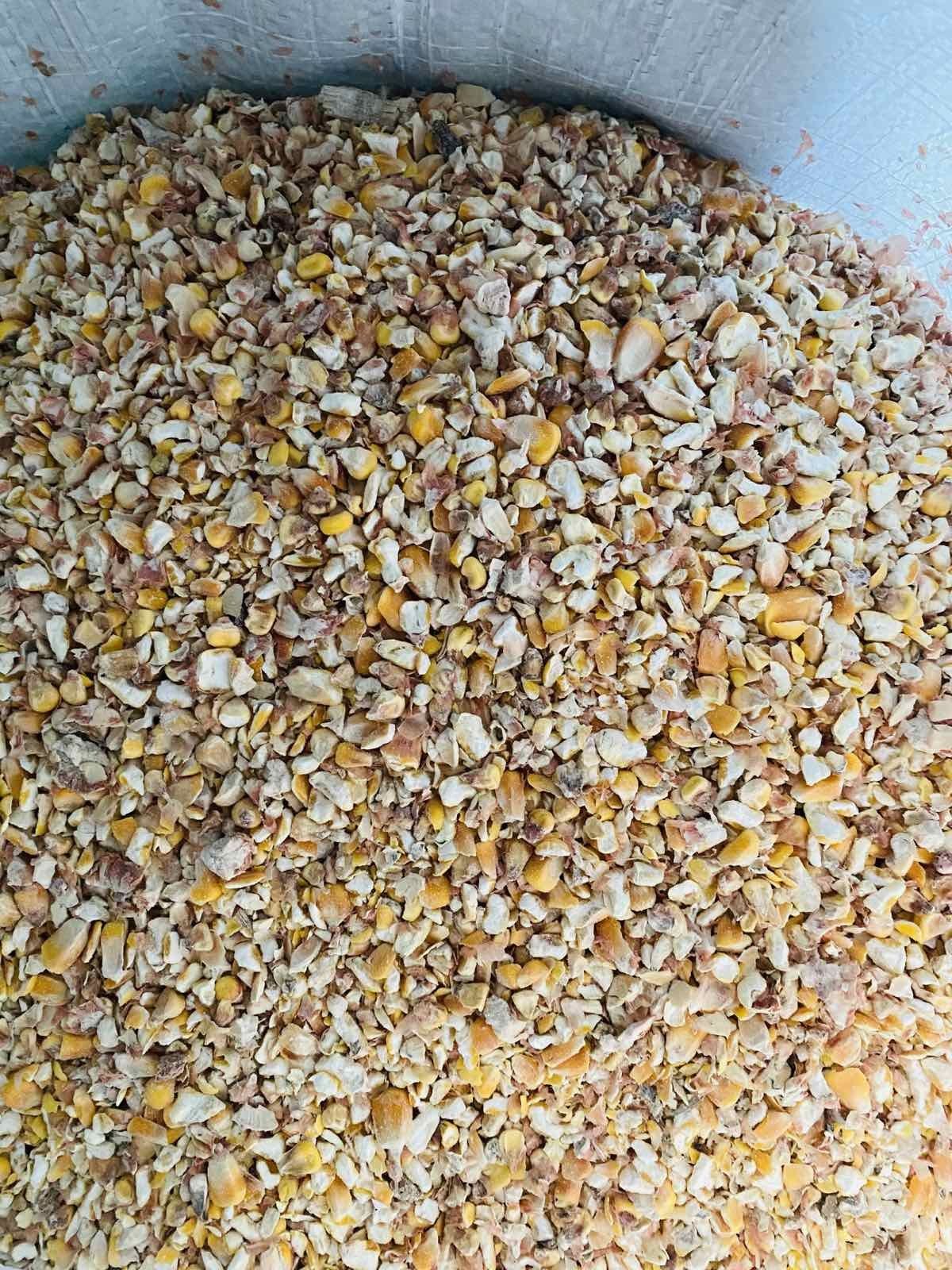 Продам подрібнене зерно кукурудзи