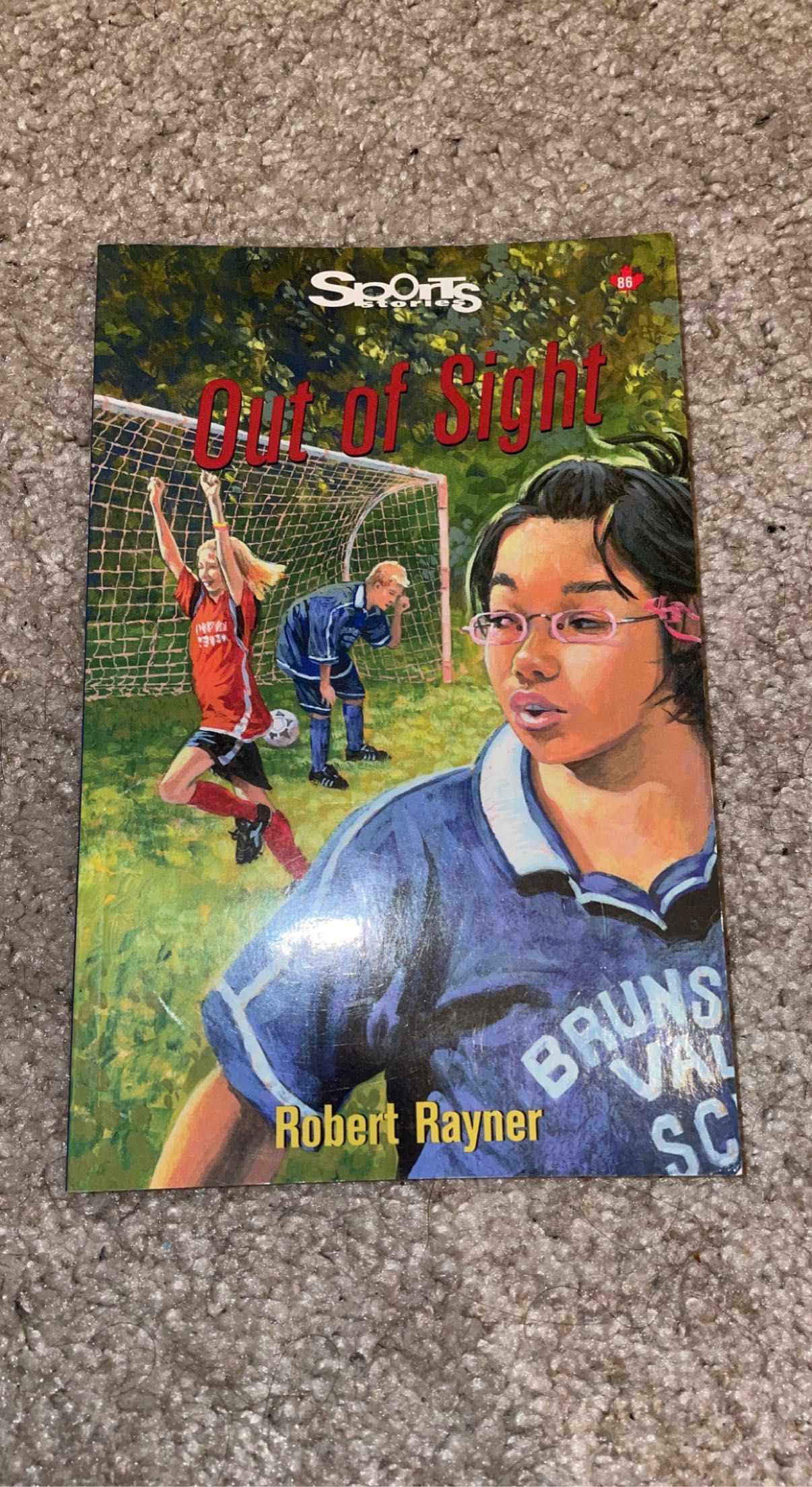 Out of Sight - Robert Rayner