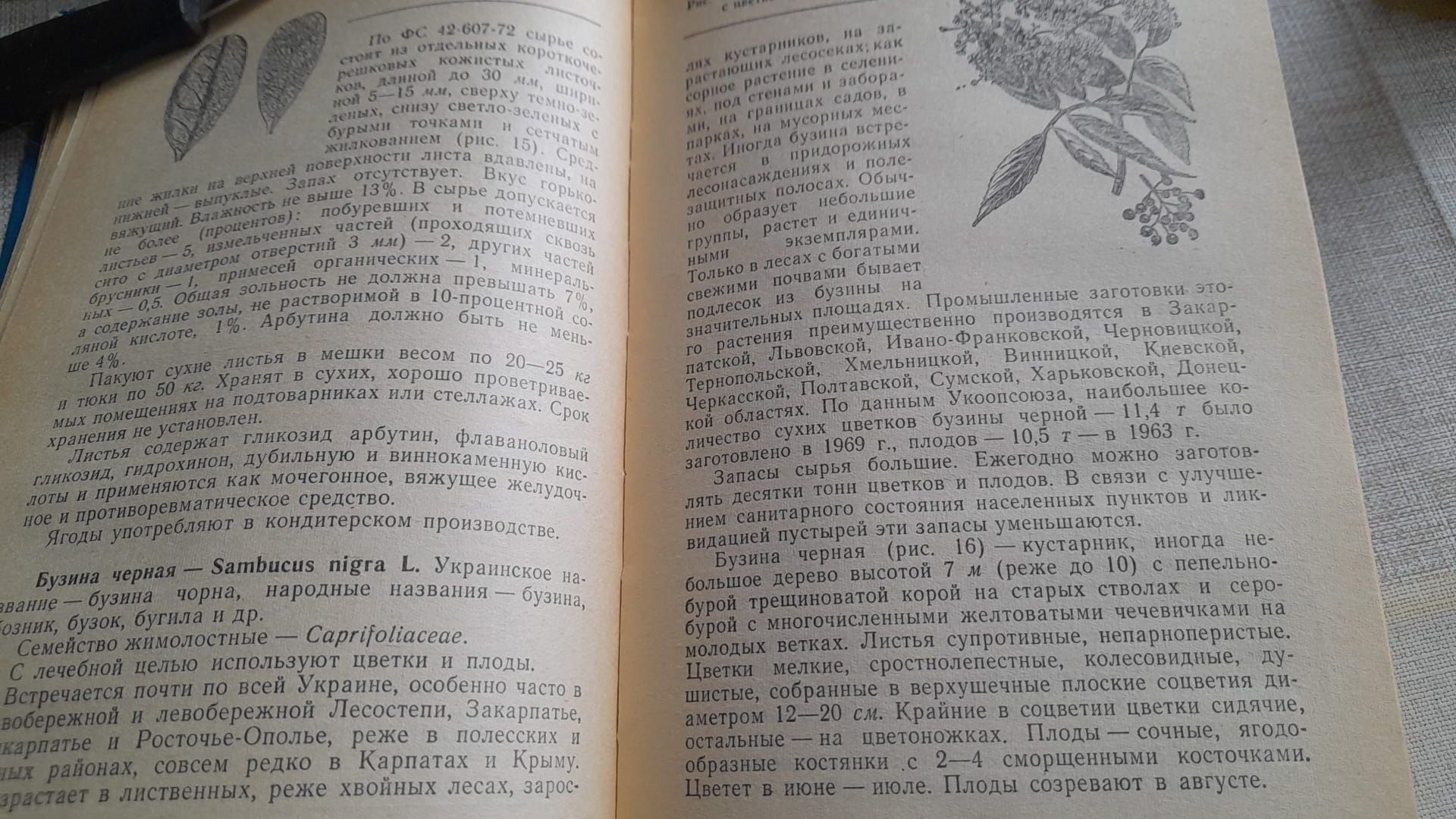 Книга Лекарственные растения Украины