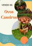 Ovos Caseiros baratos