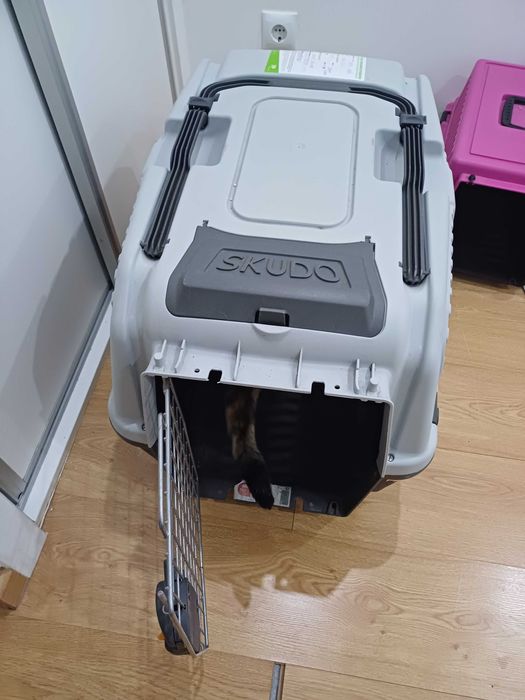 Transportadora IATA para porão viagem Portugal/Brasil/Portugal