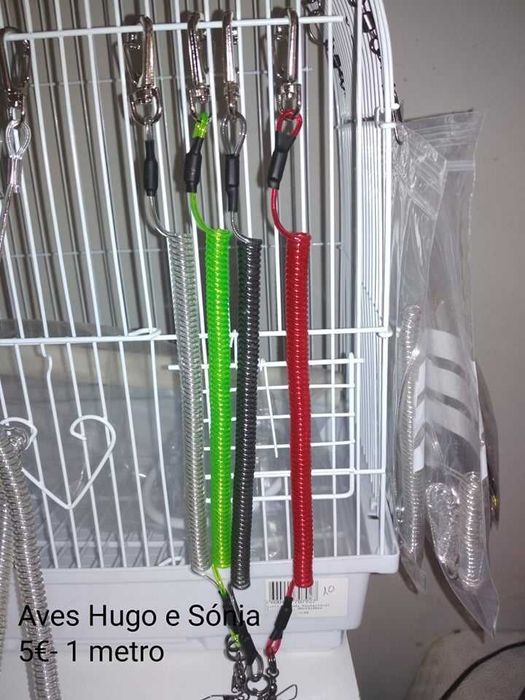 Correntes para aves domesticadas