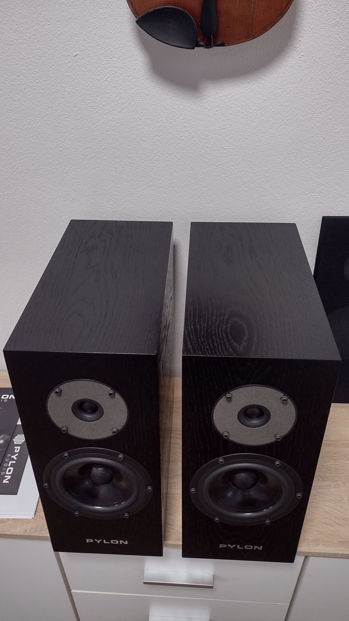 Pylon Diamond Monitor 15