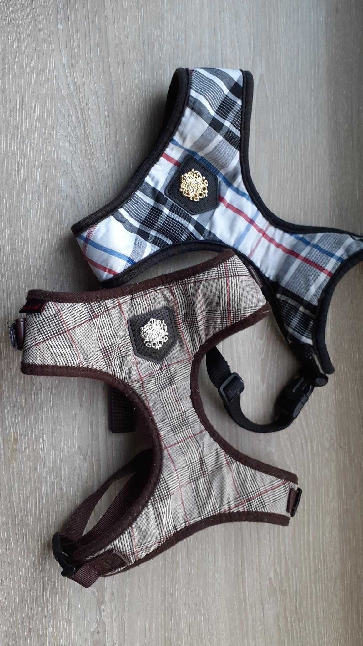 Peitilhos para cão L (bull dog francês)