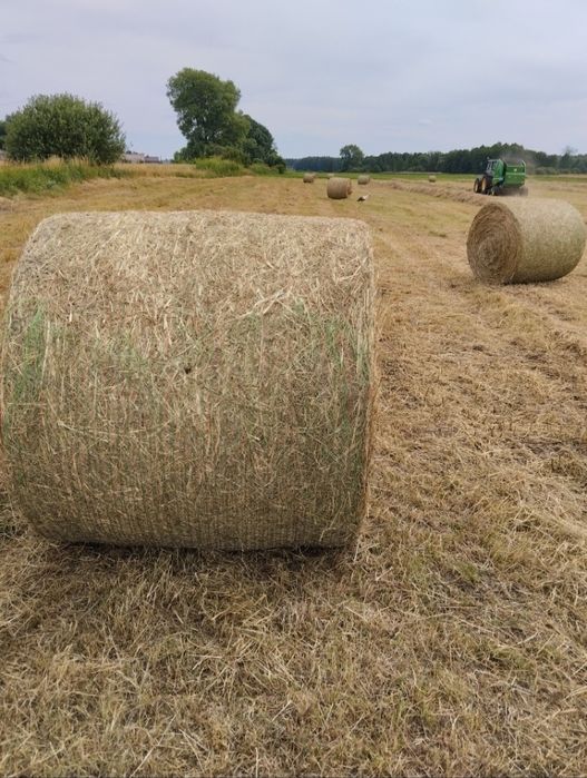 Siano baloty 120/130 drugi pokos