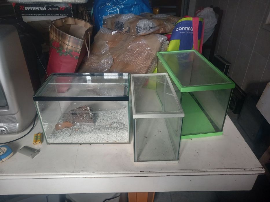 3 Aquários Vários Tamanhos