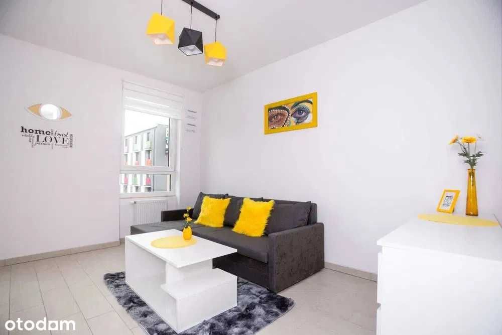 Kawalerka / Braniborska / Bezpośrednio