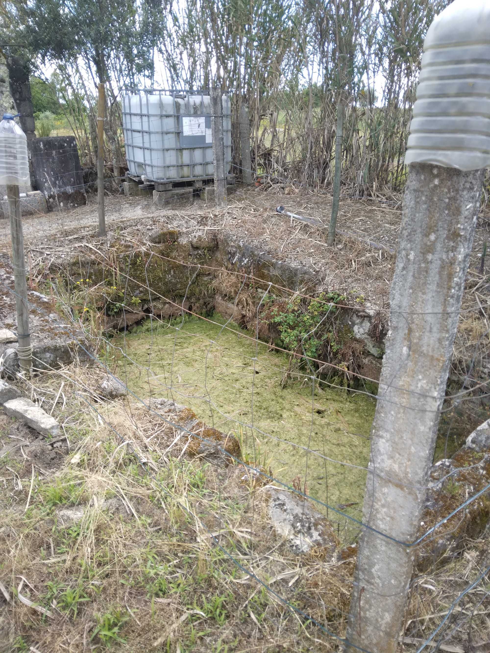 Quintinha com casa de arrumos
