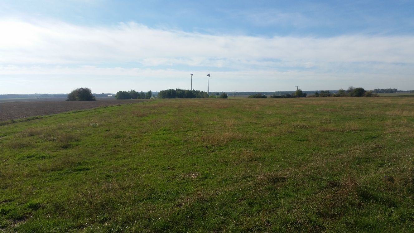 Działka Postróże 4,5 H Siedliskowo-rolna  54km od Wawy