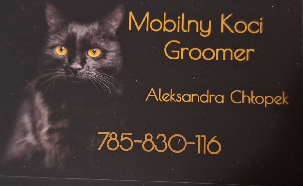 Mobilny koci Fryzjer- GROOMER
