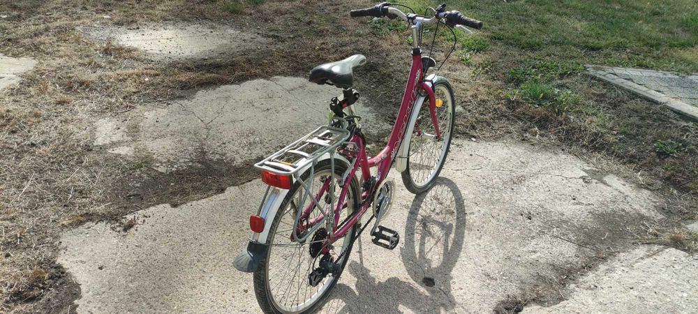 Rower Arkus Panda City (24)