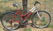 Bicicleta de adulto