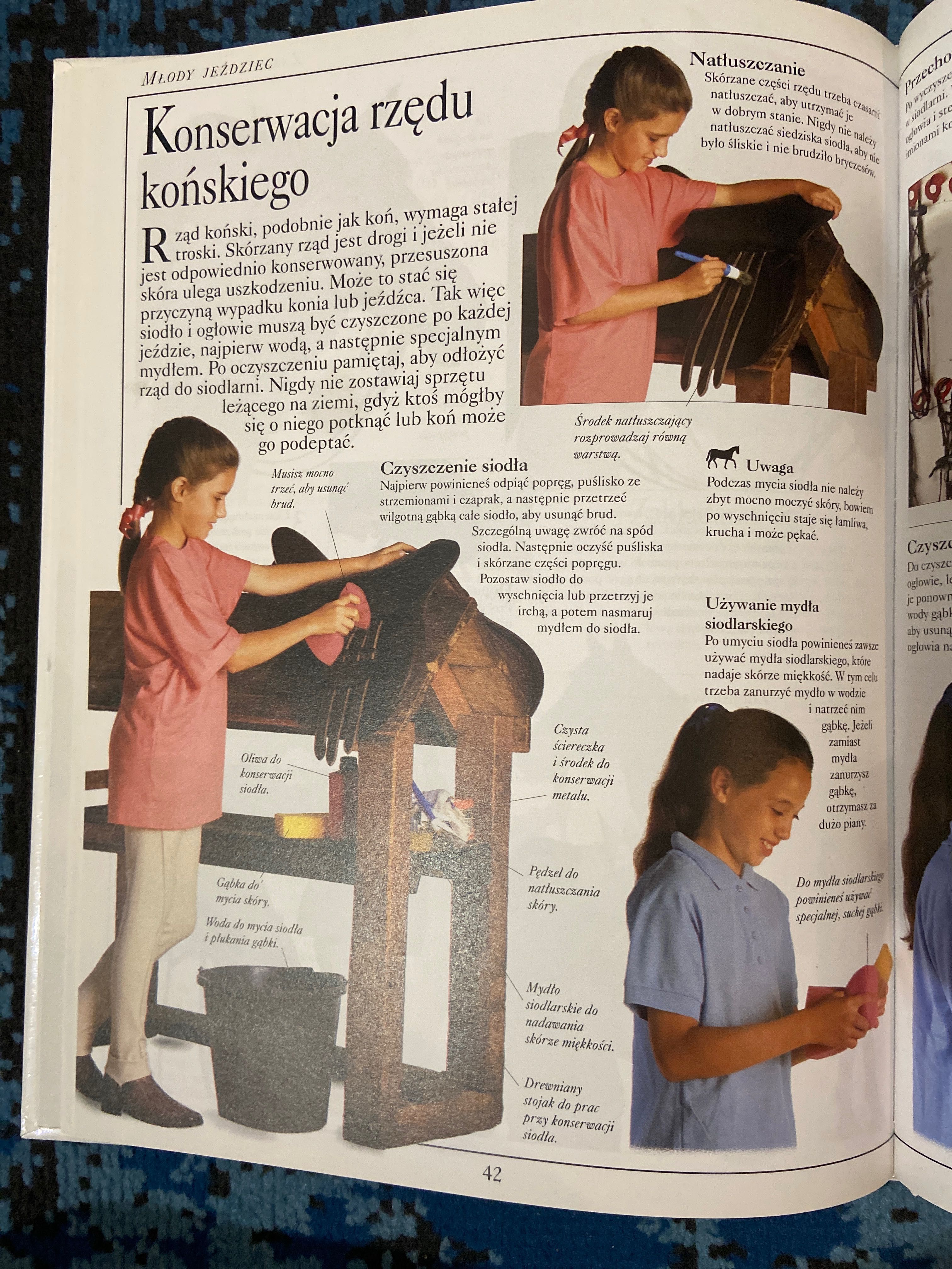 Książka Młody Jeździec