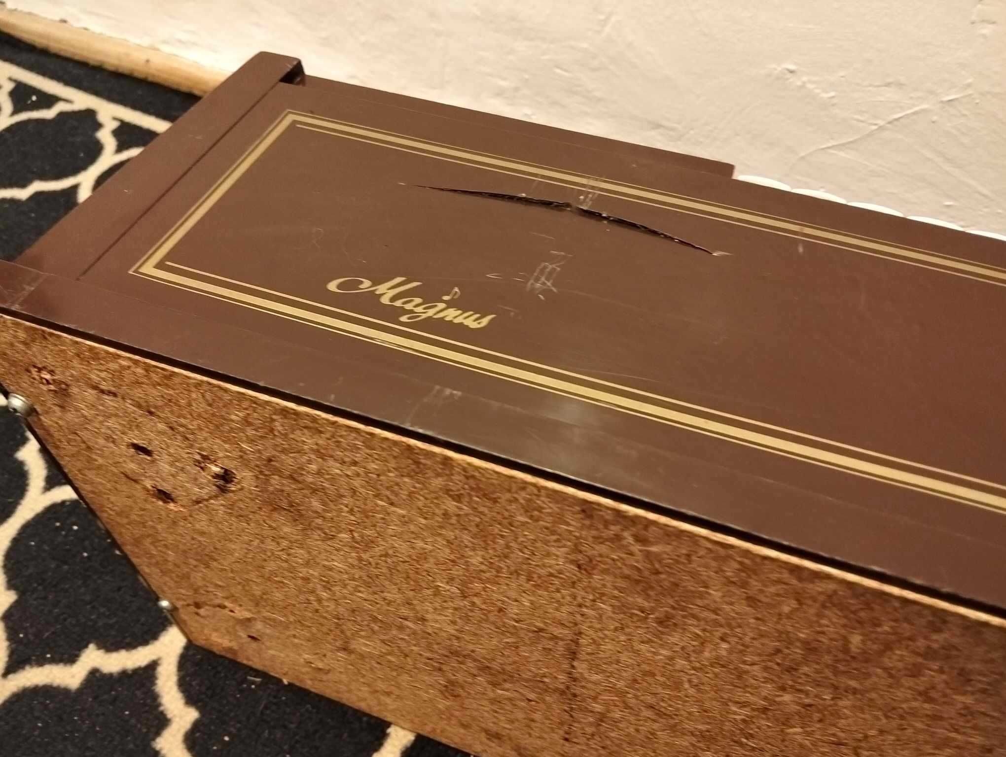 Organy elektryczne MAGNUS 401 USA