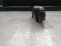 Figurka hipopotama