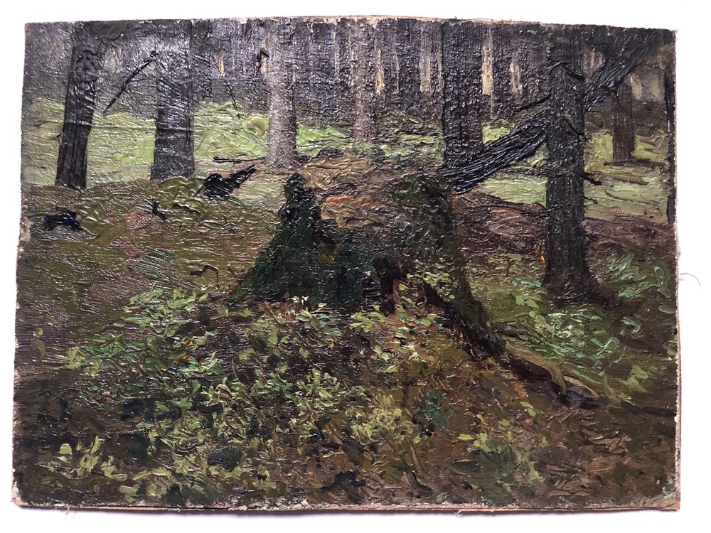 Пейзаж царских времен Пень в лесу до 1917г. подпись неразборчиво