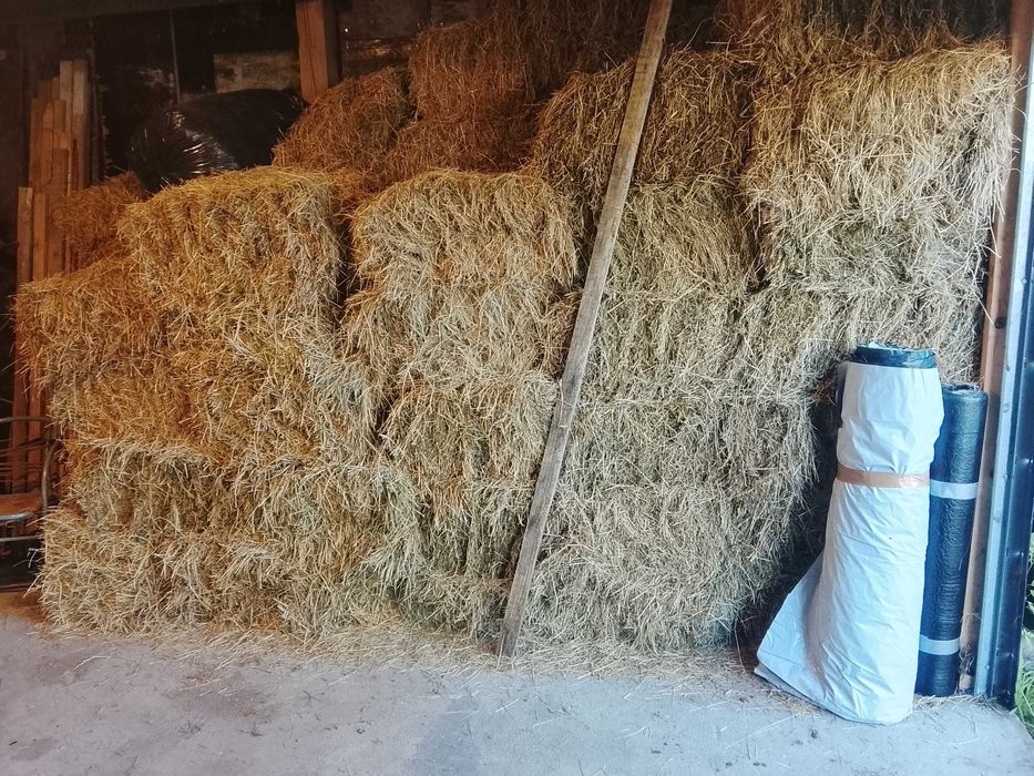 siano w kostkach 60 kostek transport