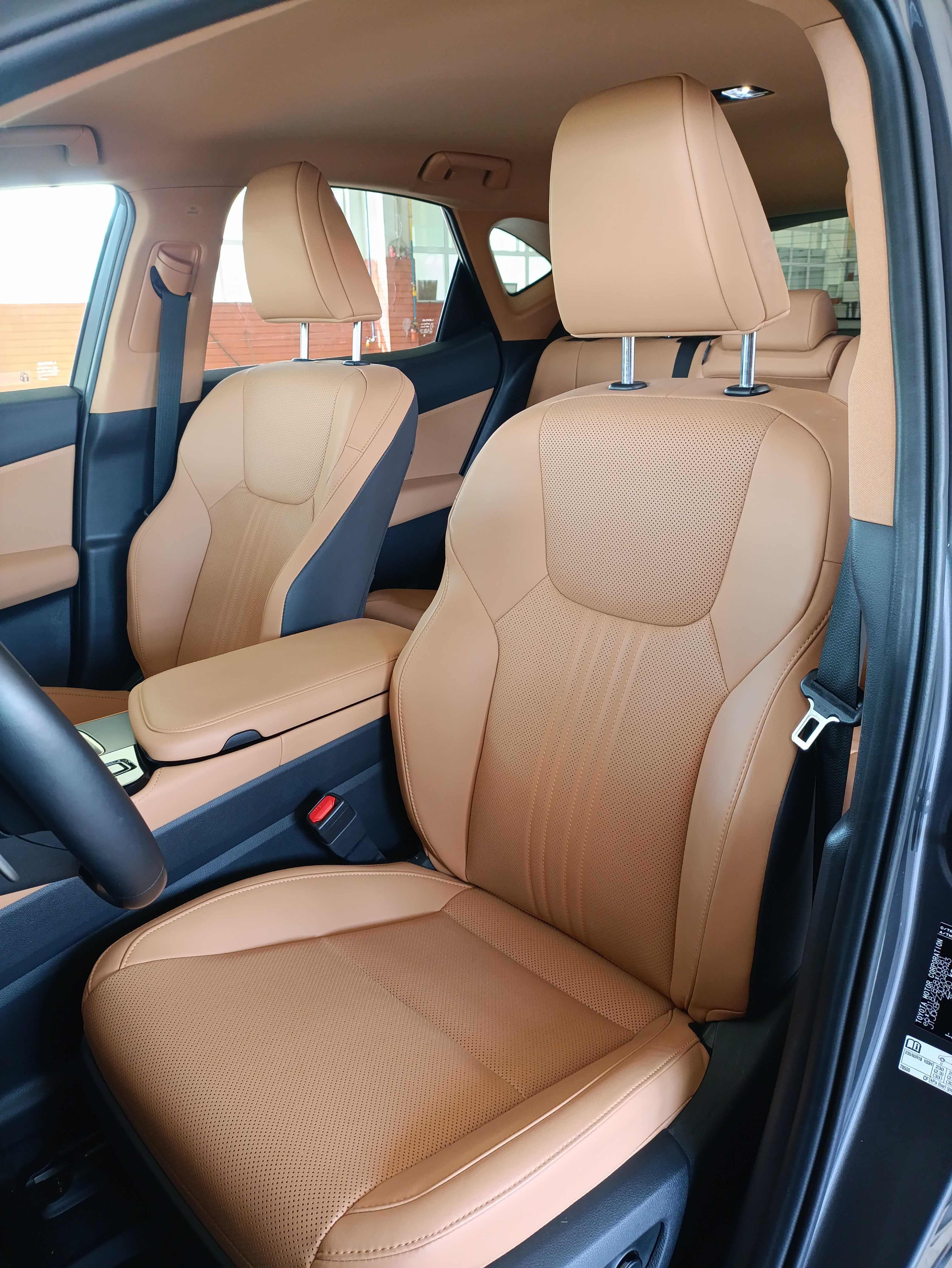 Lexus NX 450h+ Executive (Nov. 2024)