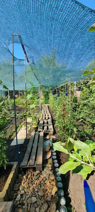 Садовий будинок у районі Цегельного Заводу