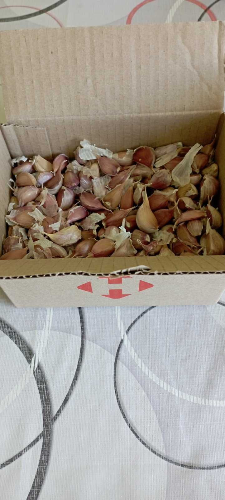 Пропоную зубчики часнику