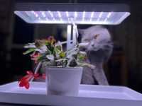 Lampa LED do doświetlania sadzonek, regulowana wys.