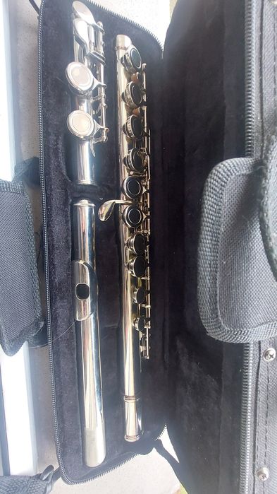 Flet poprzeczny z firmy windsor z pokrowcem