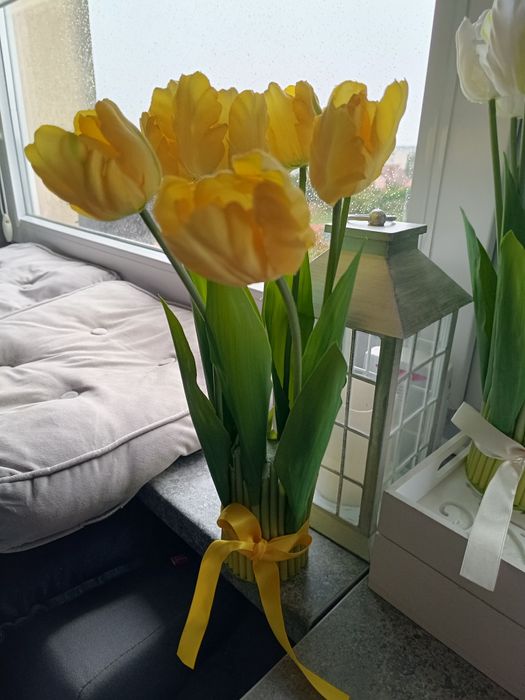Kompozycja z tulipanów bislych