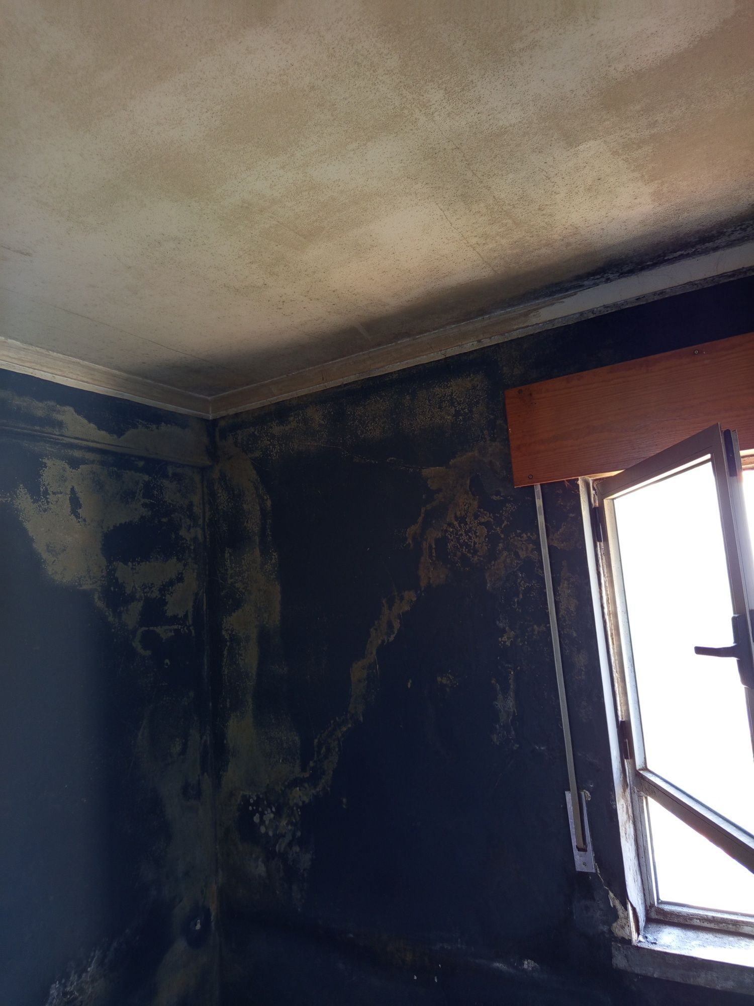 Pintas color, pinturas interiores e exteriores orçamentos grátis