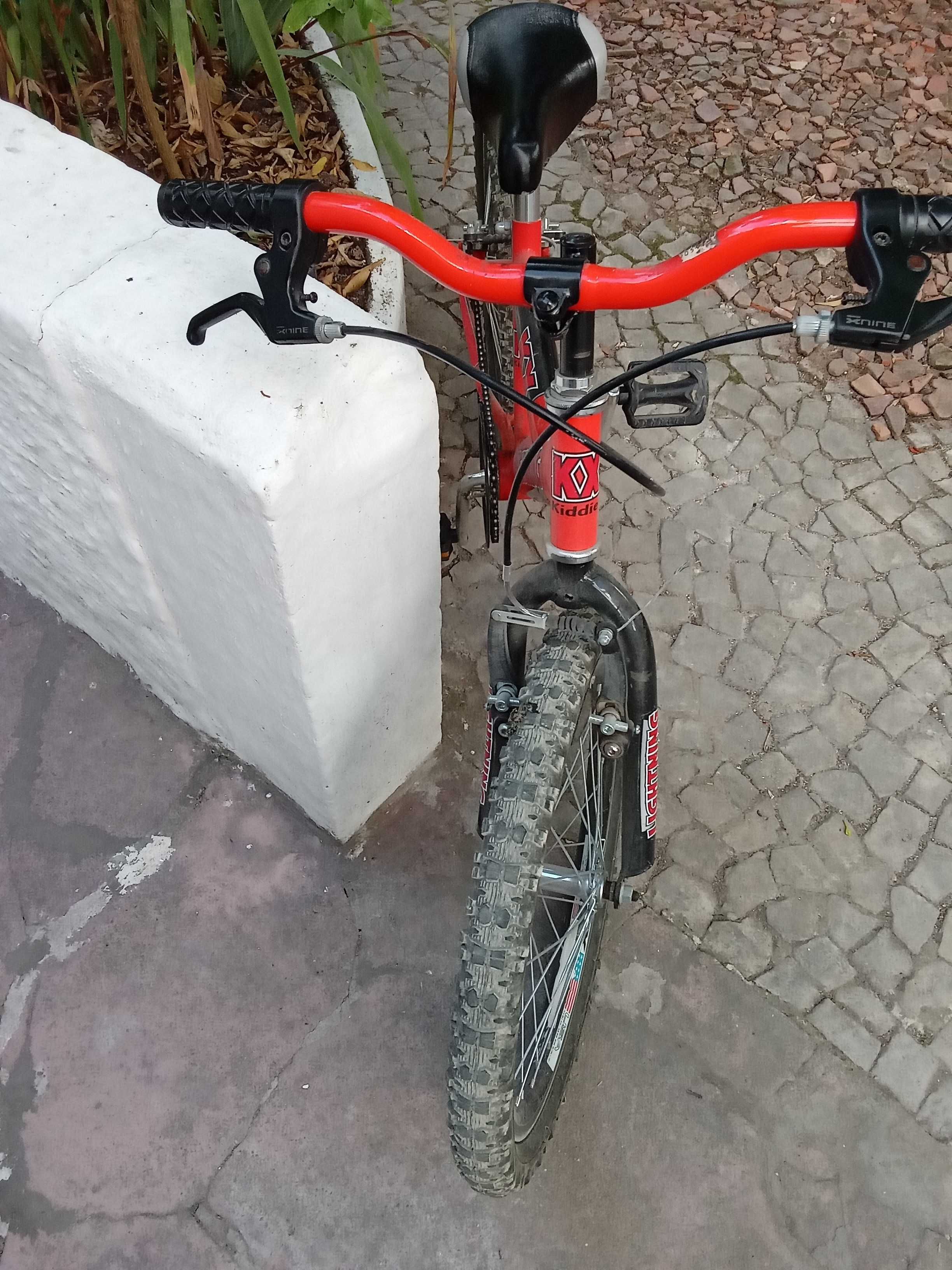 Bicicleta para crianças, com rodas de 47 cms