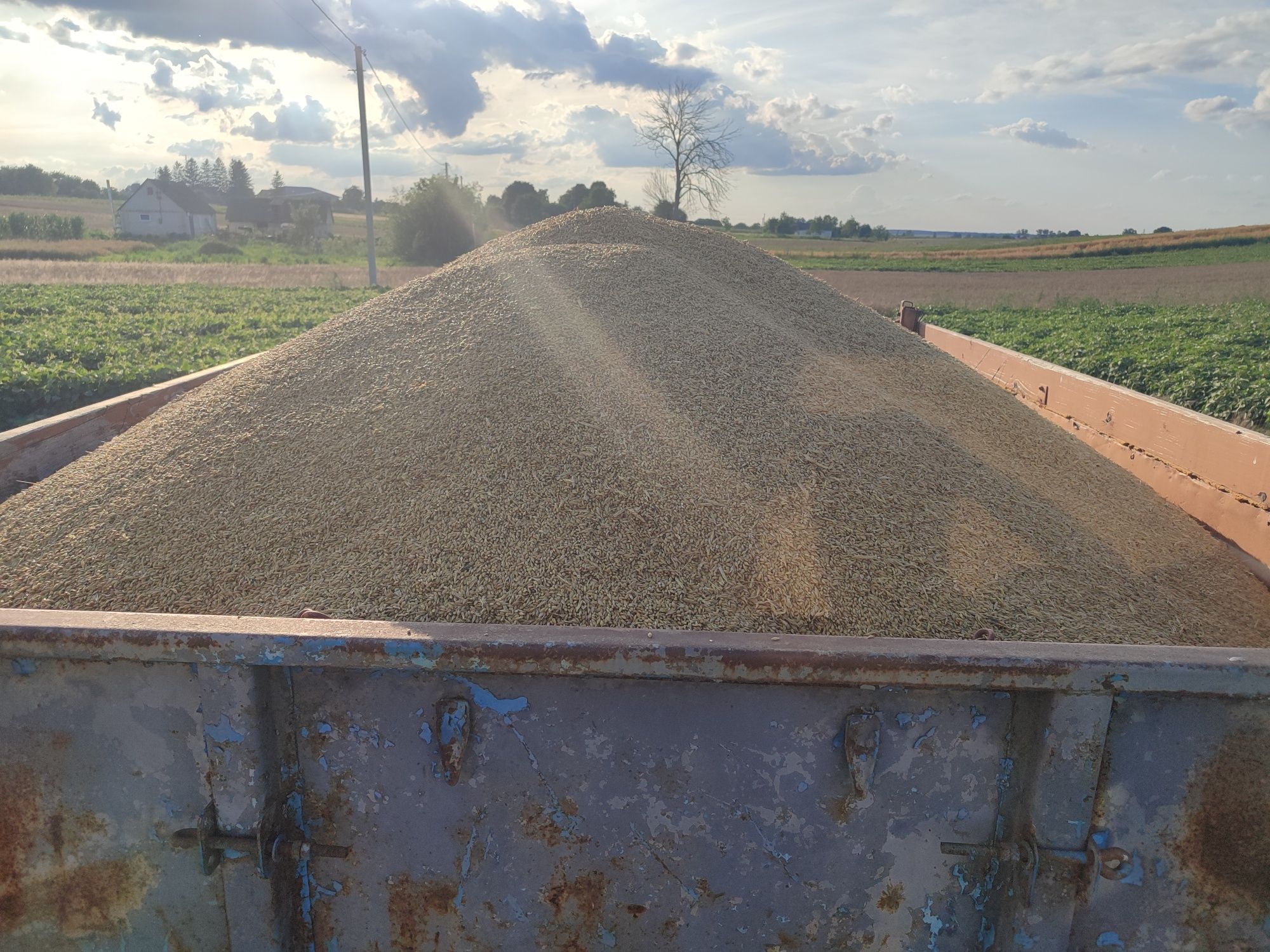 Продам причіп самоскид.