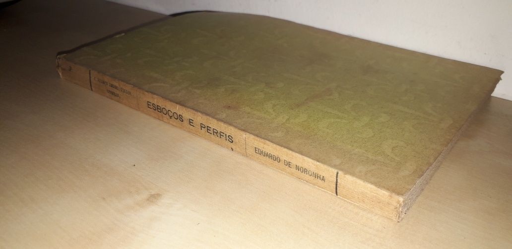 Esboços e Perfis - Eduardo de Noronha (1913)