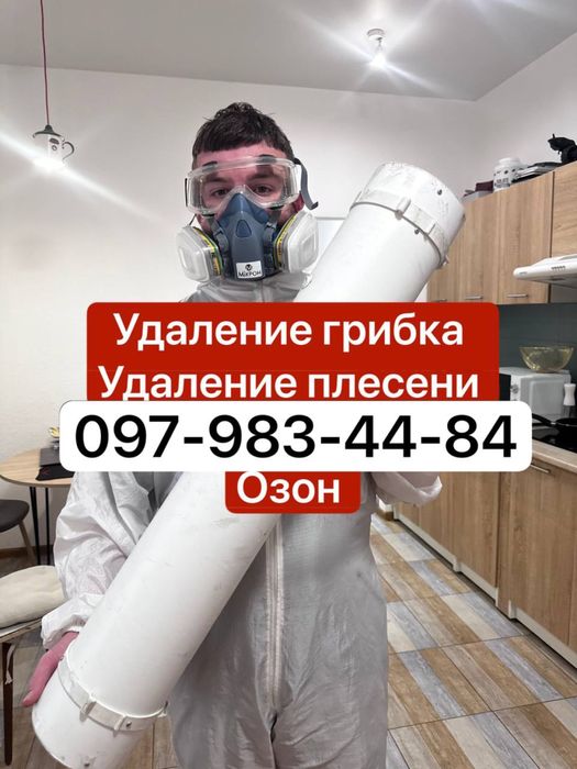 Удаление плесени - дезинфекция тараканов плесени — быстро и надёжно