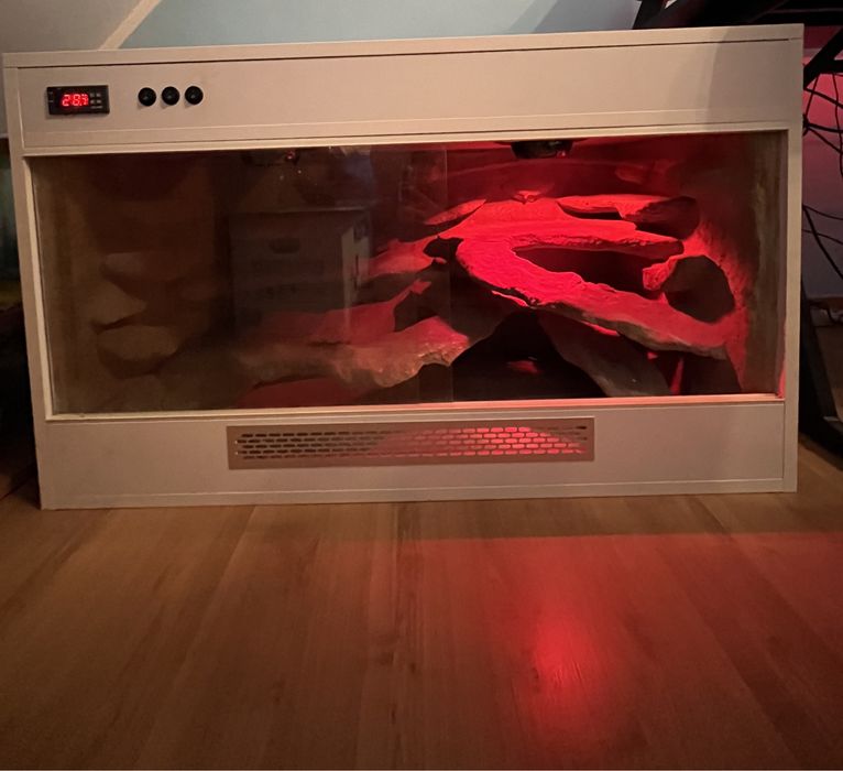 Terrarium dla gekona lamparciego