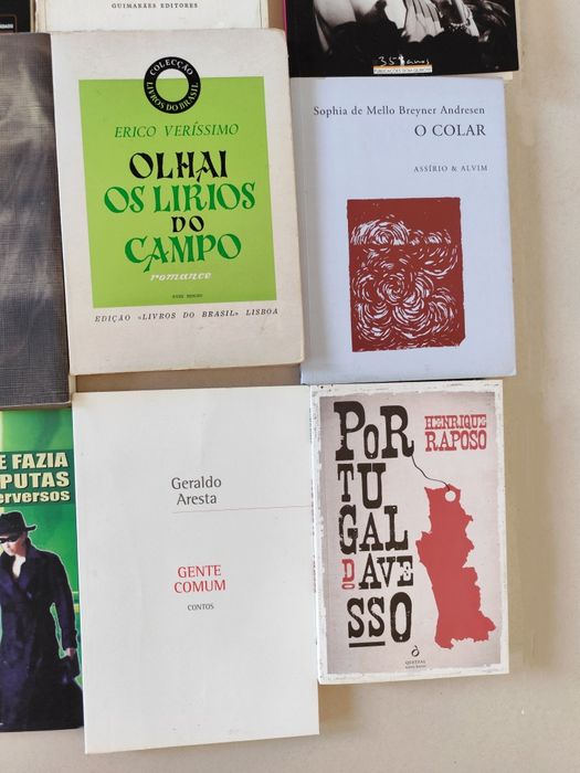 Lote de livros de autores portugueses (Alves Redol / Tiago Rebelo)