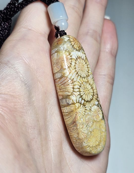 Koral kopalny naturalny.