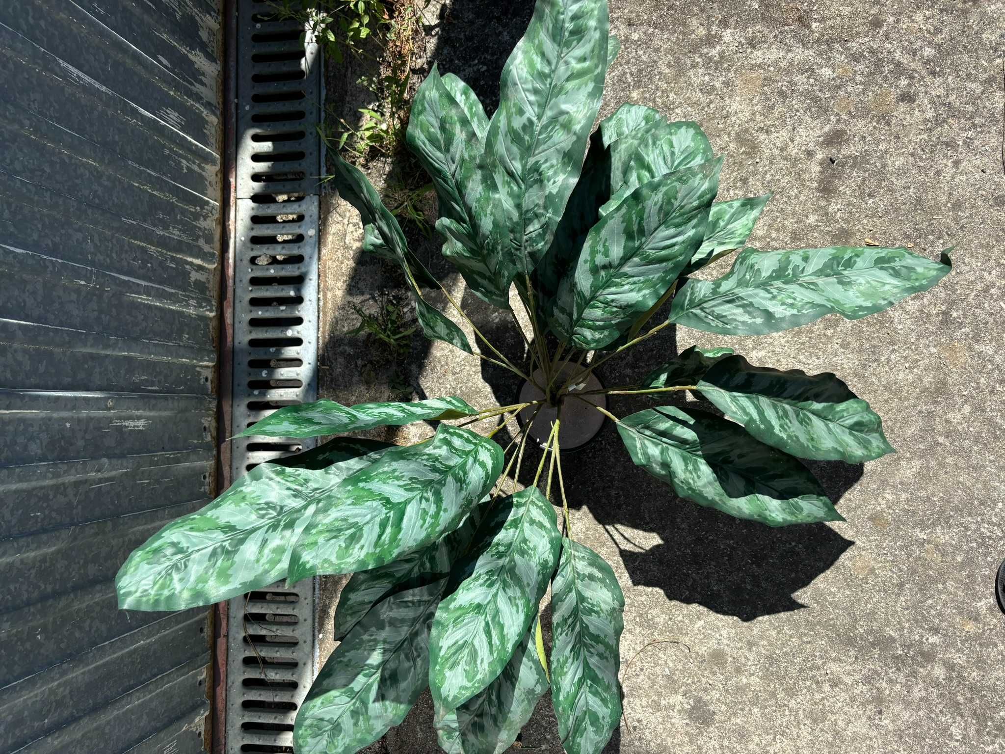 Planta de decoração para sua casa