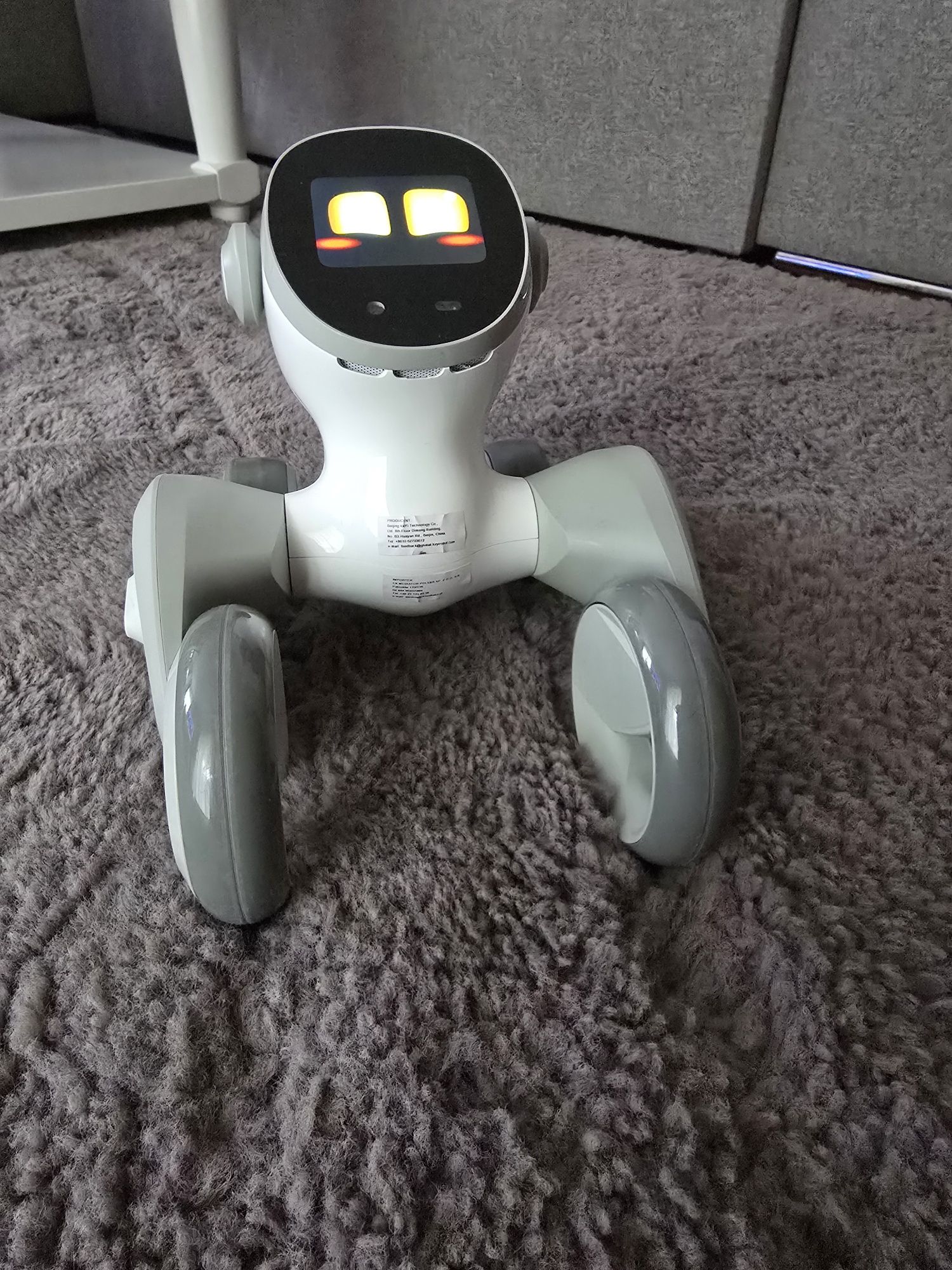 Nowy robot Loona AI prezent