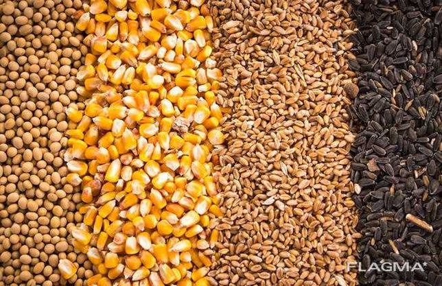 кукуруза , пшеница (доставка)