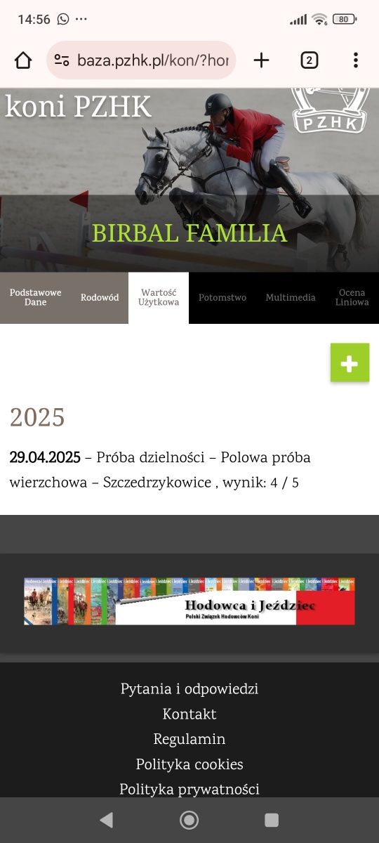 Ogier Haflinger Birbal Familia