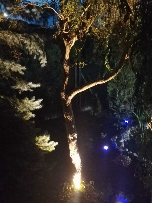 Paulmann lampa Podwodna do oczka ogrodu 12v /240