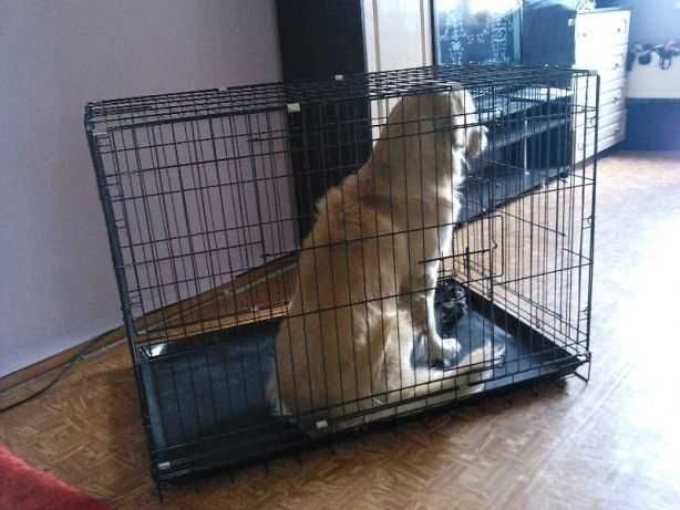 Нові клітка клетка X/S-XXL переноска манеж для собак кошек на виріст
