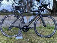 Merida 5000 scultura