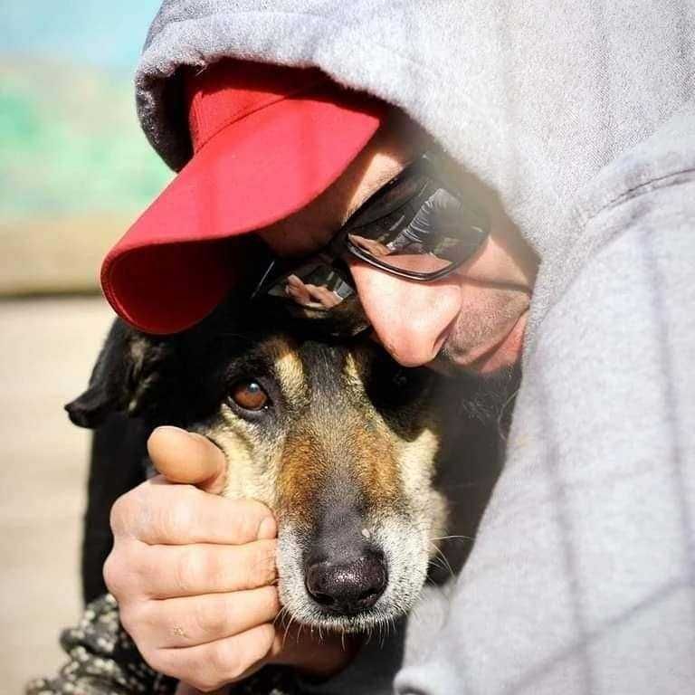 czy wśród tylu ogłoszeń dostrzeżesz gaje? odmień jej los...