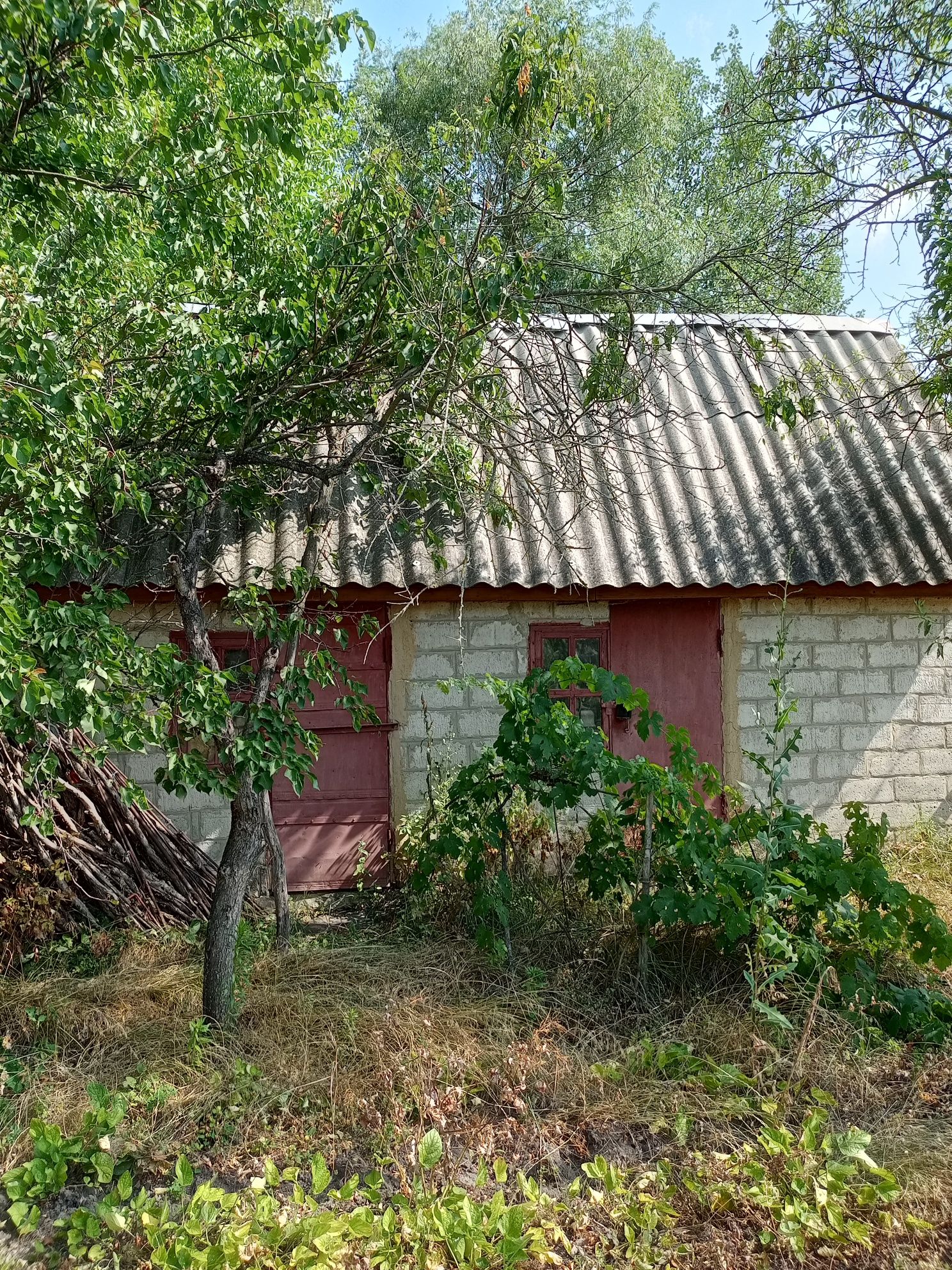 Дмитрівка дача продам