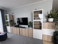 Zabudowa do salonu Ikea