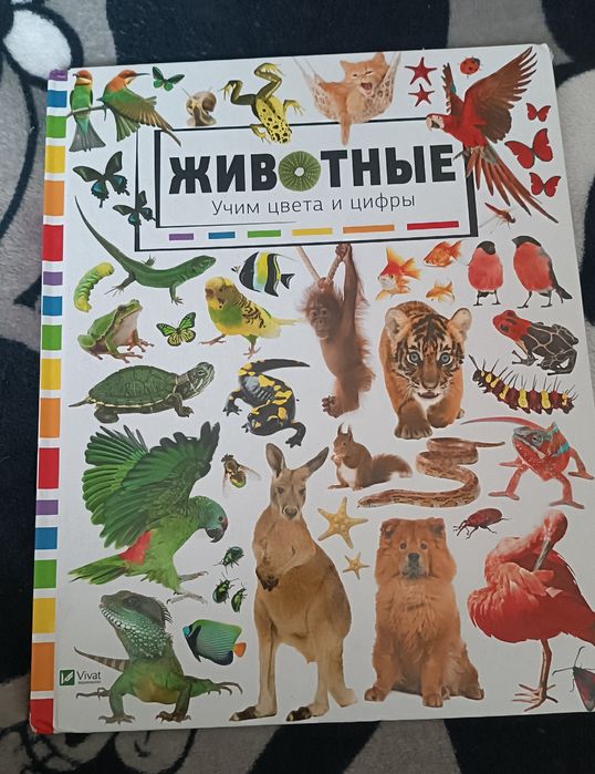 Книга Животные. Учим цвета и цифры
