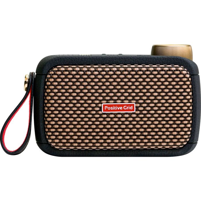 Positive Grid Spark Go