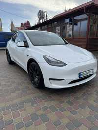 Tesla Model Y 2021 авто Тесла