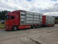 Scania  Scania r500 V8